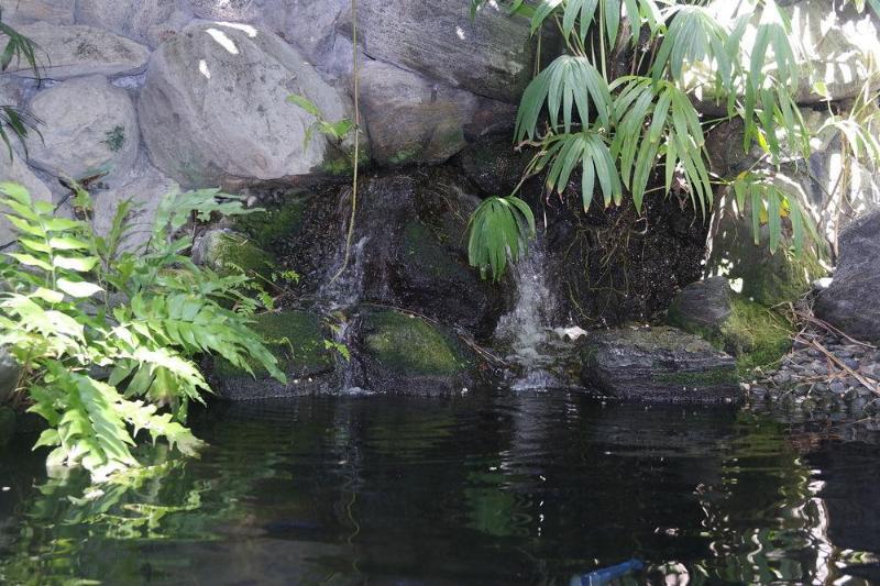 Heron House (Adults Only) Κι Γουέστ Εξωτερικό φωτογραφία