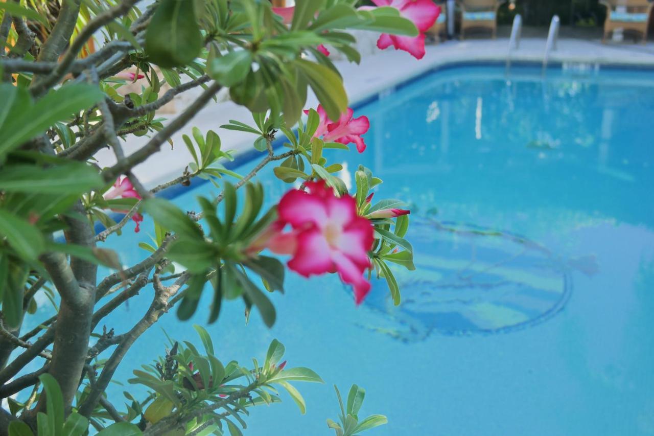 Heron House (Adults Only) Κι Γουέστ Εξωτερικό φωτογραφία